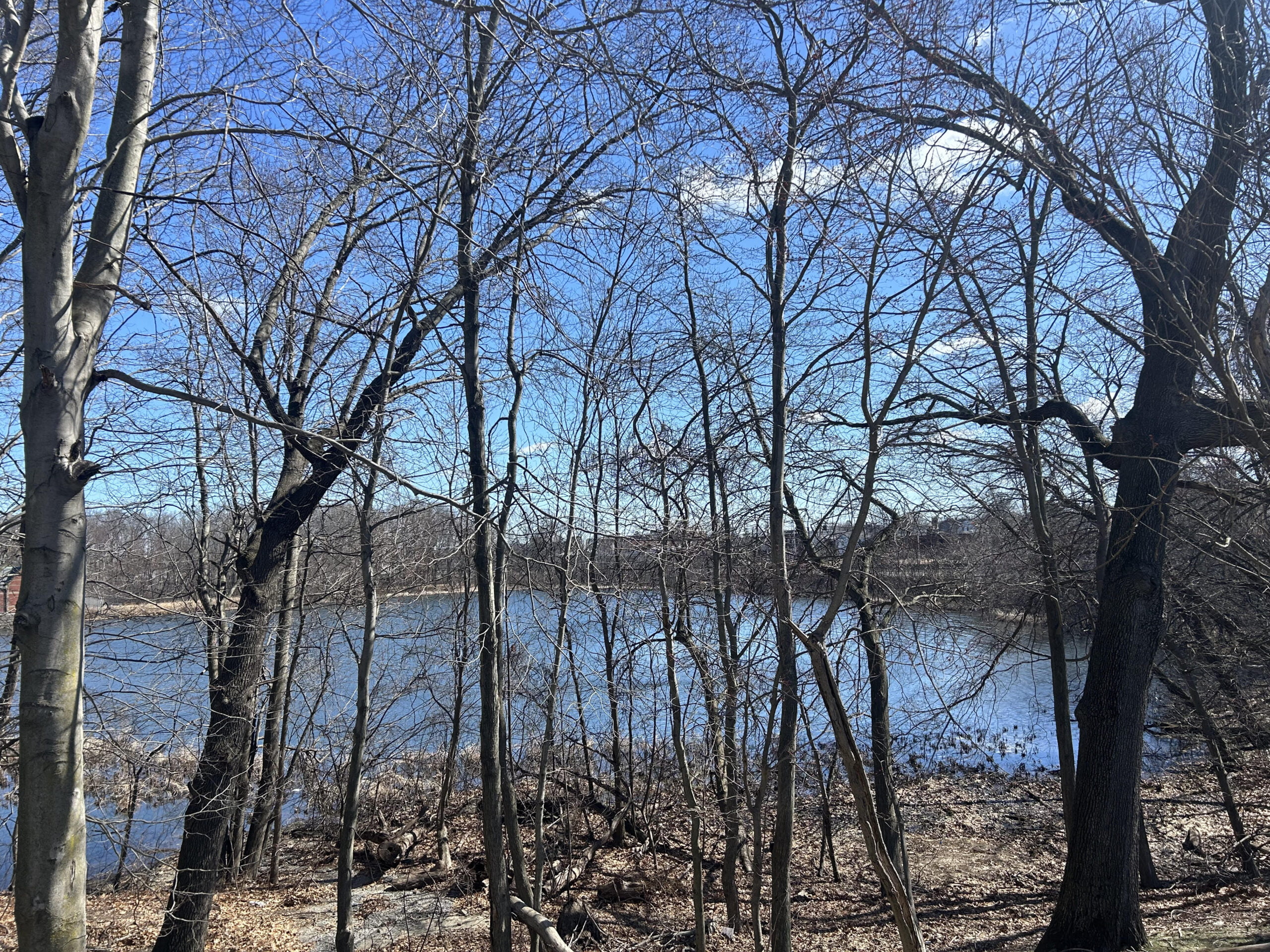 Framingham Movers photo of Farm Pond near Framingham Center