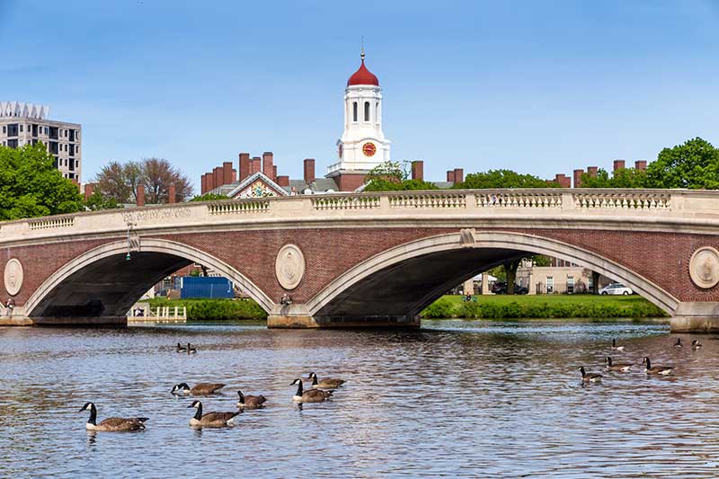 how to get moving permits in cambridge