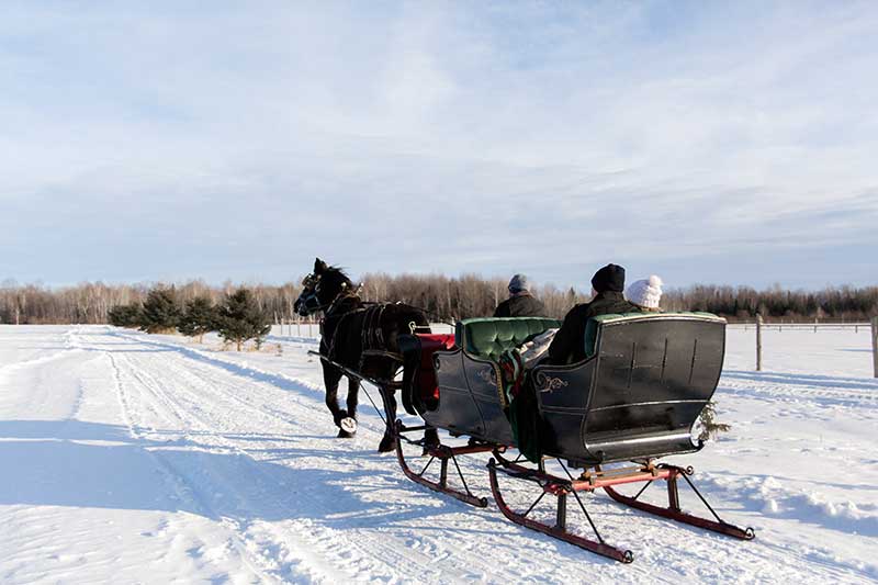 sleigh ride